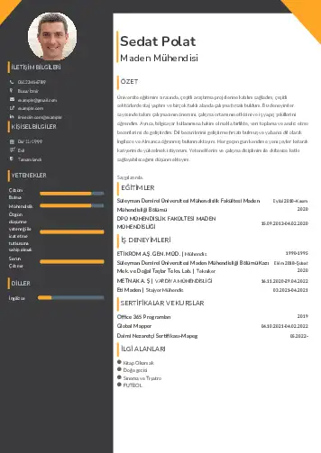 Maden Mühendisi Cv Örnekleri cv indir